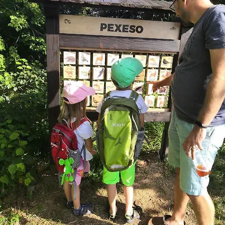 בית הארחה Statek Vletice