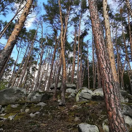 Statek Vletice Гостевой дом