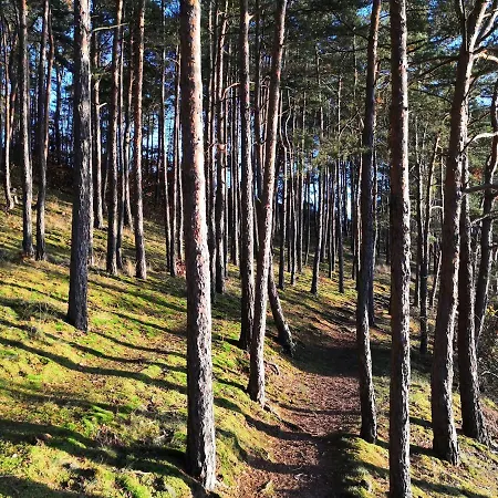 Гостевой дом Statek Vletice