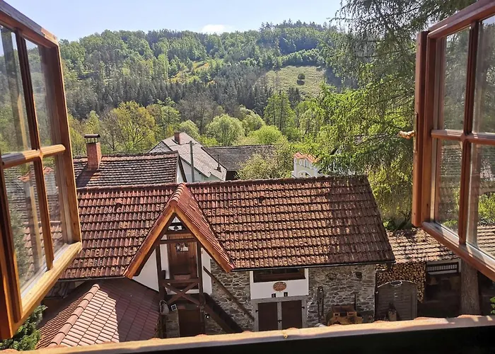 Statek Vletice بيت ضيافة