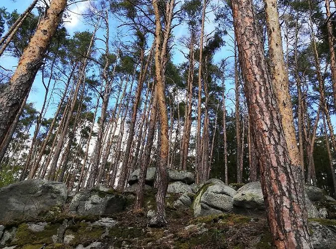 Statek Vletice بيت ضيافة