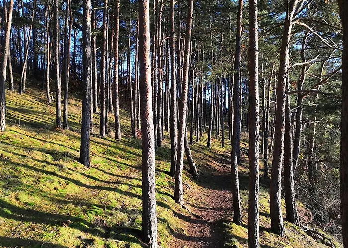 بيت ضيافة Statek Vletice